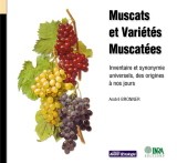 Muscats et varietes muscatees inventaire et synonymie des origines à nos jours